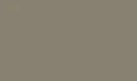 Light Brown PCTD20088