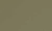 Olive 1219626