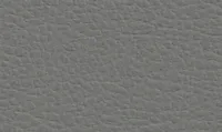 Gris / Antracita